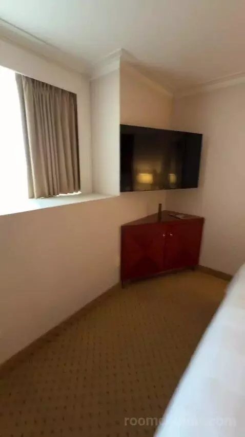 1 Bedroom 2 Room Suite, 1 King (#1119) bed picture #12