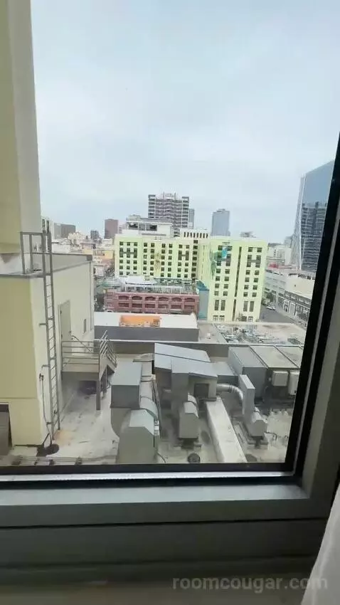 1 Bedroom 2 Room Suite, 1 King (#1119) view picture #3