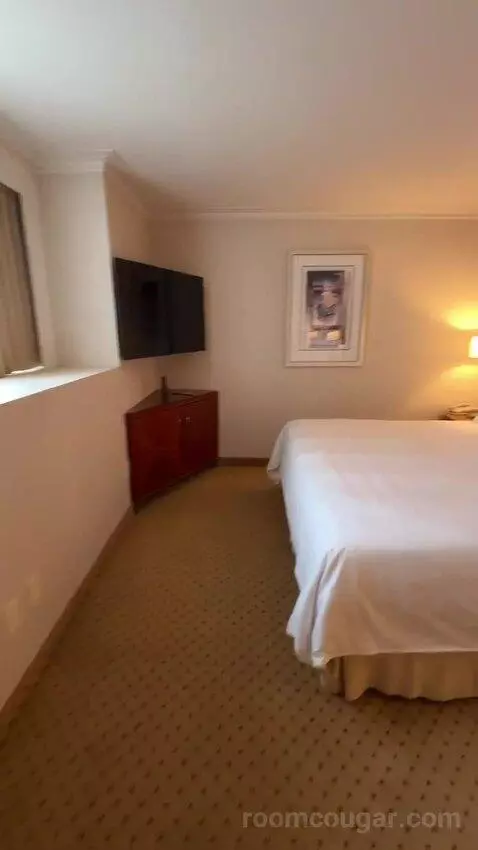 1 Bedroom 2 Room Suite, 1 King (#1119) bed picture #2