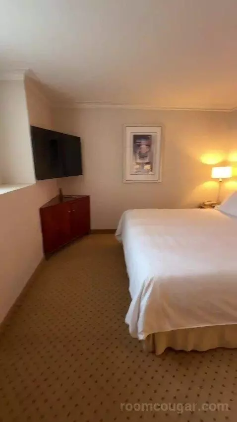 1 Bedroom 2 Room Suite, 1 King (#1119) bed picture #3