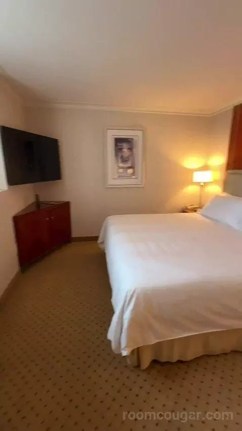 1 Bedroom 2 Room Suite, 1 King (#1119) bed picture #4