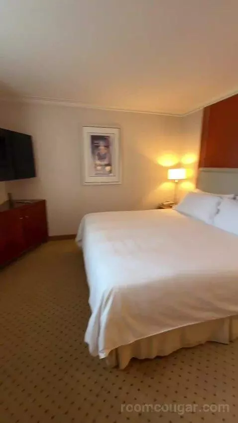 1 Bedroom 2 Room Suite, 1 King (#1119) bed picture #5