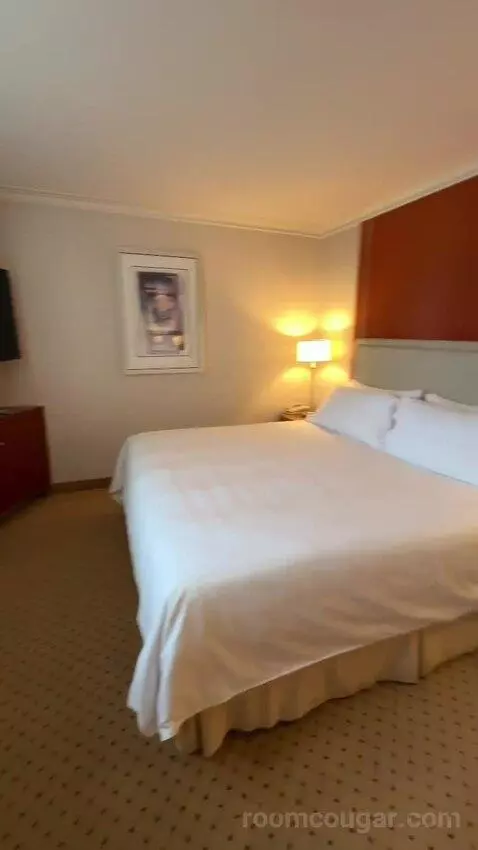 1 Bedroom 2 Room Suite, 1 King (#1119) bed picture #6