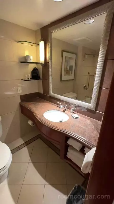2 Double Beds, Standard Room, City View (#1118) bathroom picture #1