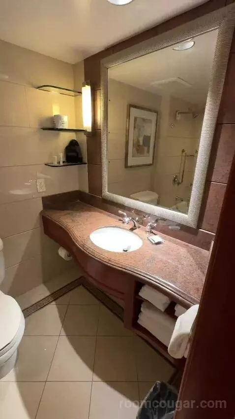 2 Double Beds, Standard Room, City View (#1118) bathroom picture #2