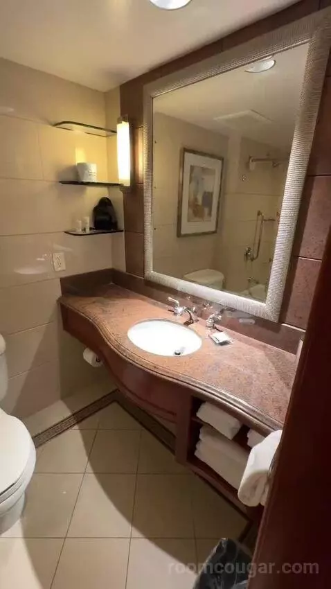 2 Double Beds, Standard Room, City View (#1118) bathroom picture #3