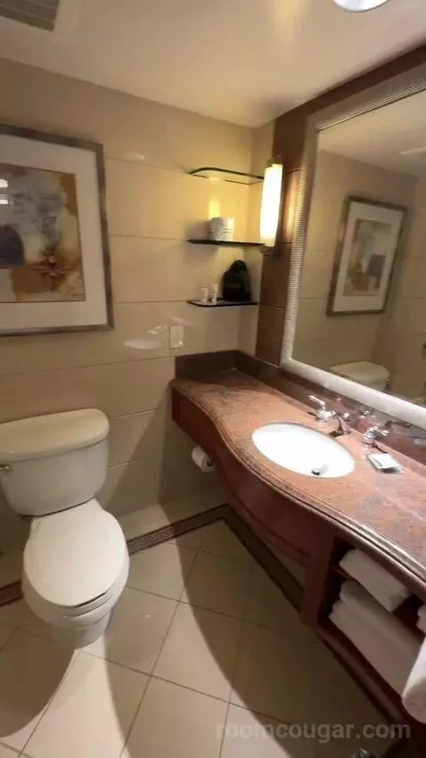 2 Double Beds, Standard Room, City View (#1118) bathroom picture #5