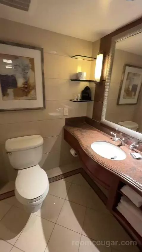2 Double Beds, Standard Room, City View (#1118) bathroom picture #6