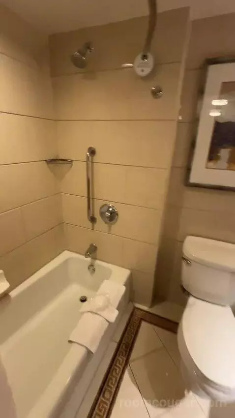 2 Double Beds, Standard Room, City View (#1118) bathroom picture #7