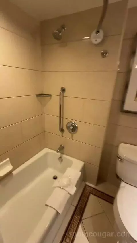 2 Double Beds, Standard Room, City View (#1118) bathroom picture #8