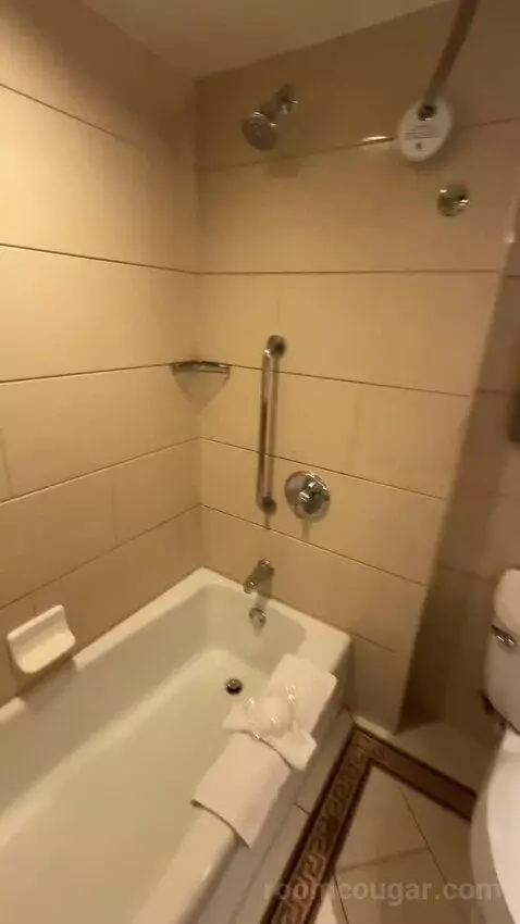 2 Double Beds, Standard Room, City View (#1118) bathroom picture #9
