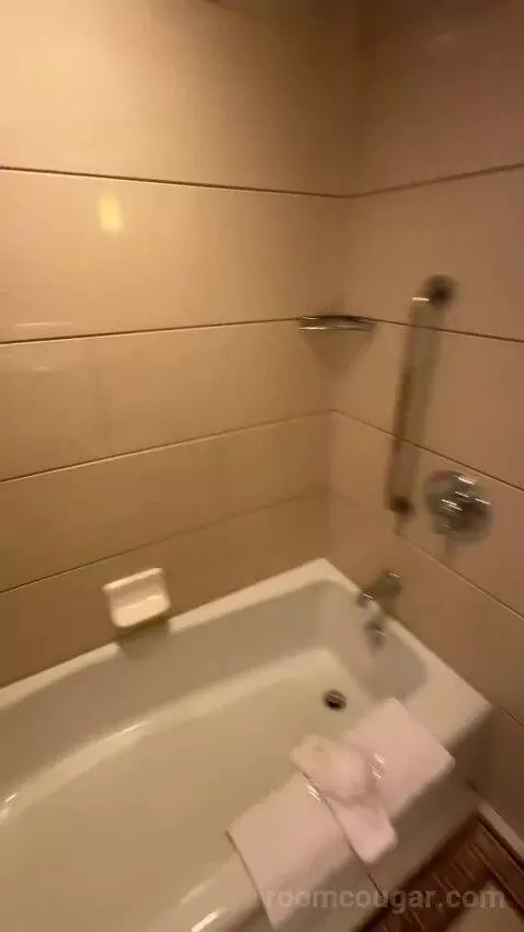 2 Double Beds, Standard Room, City View (#1118) bathroom picture #12