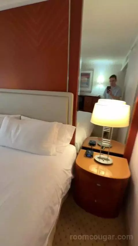 1 King Bed, City View, Room (#1120) bed picture #8
