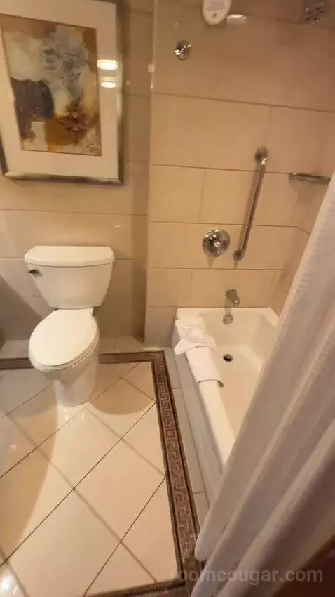 1 King Bed, City View, Room (#1120) bathroom picture #1