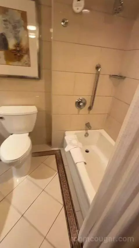 1 King Bed, City View, Room (#1120) bathroom picture #2