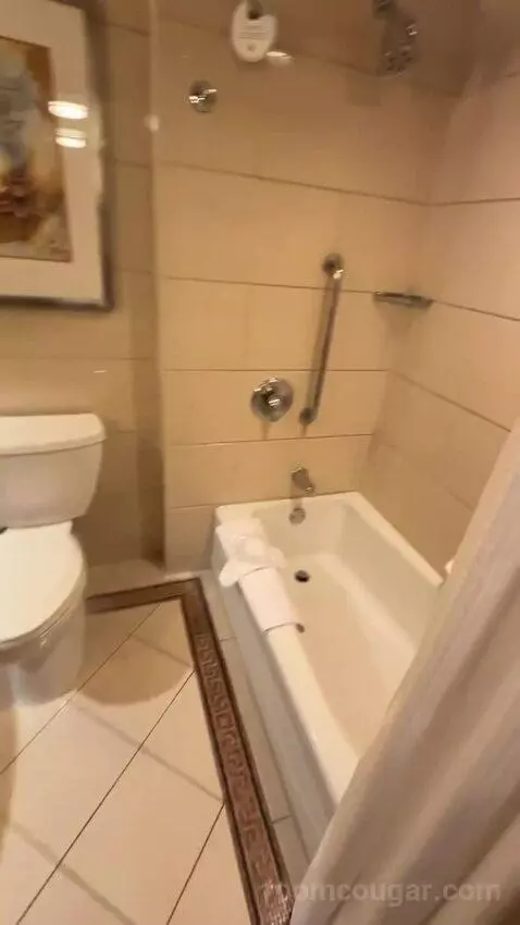 1 King Bed, City View, Room (#1120) bathroom picture #3
