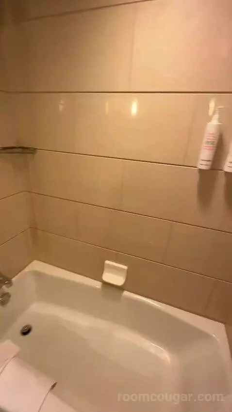 1 King Bed, City View, Room (#1120) bathroom picture #4