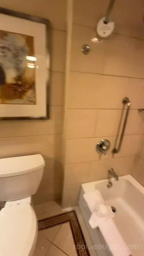 1 King Bed, City View, Room (#1120) bathroom picture #7