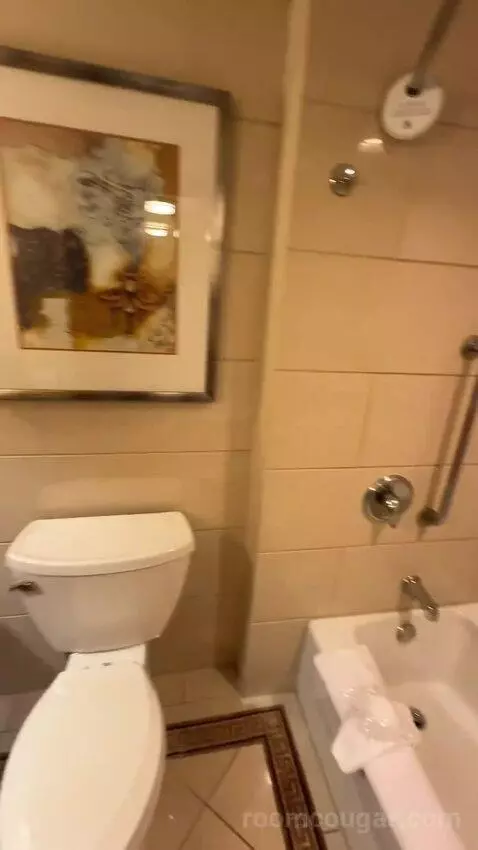 1 King Bed, City View, Room (#1120) bathroom picture #8