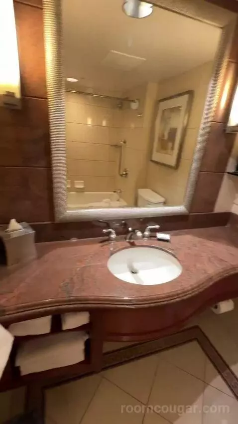 1 King Bed, City View, Room (#1120) bathroom picture #10