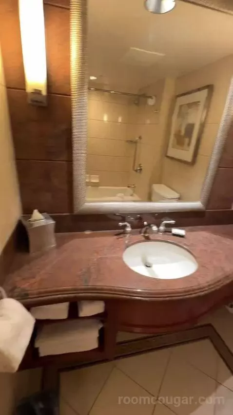 1 King Bed, City View, Room (#1120) bathroom picture #11