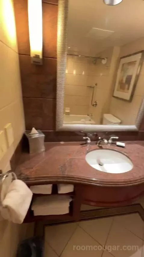 1 King Bed, City View, Room (#1120) bathroom picture #12