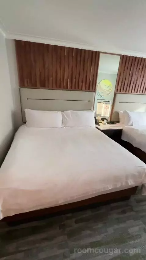 2 King, Renovated, City View (#1507) bed picture #3