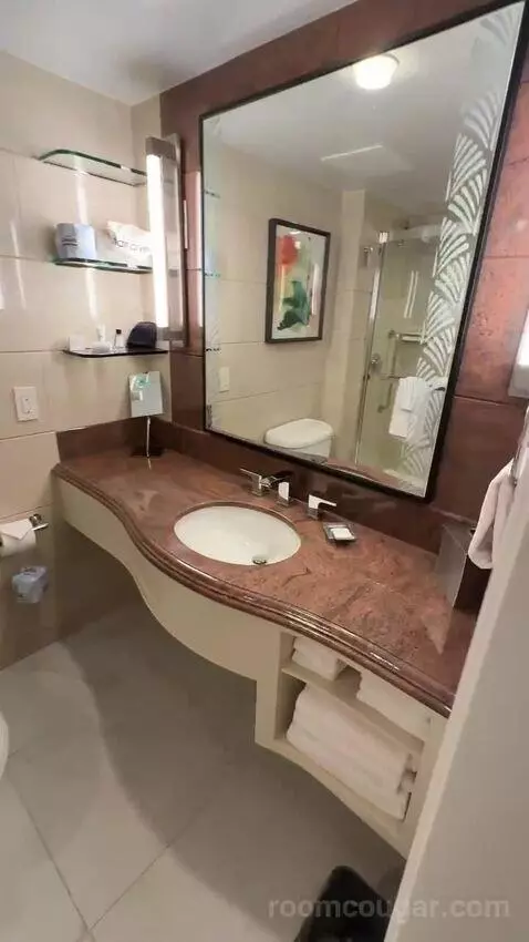 2 King, Renovated, City View (#1507) bathroom picture #1