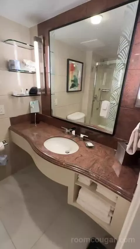2 King, Renovated, City View (#1507) bathroom picture #2