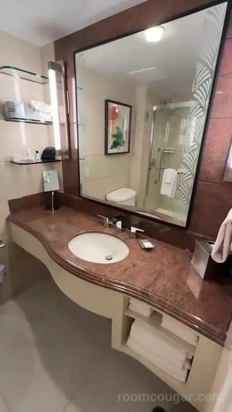2 King, Renovated, City View (#1507) bathroom picture #3