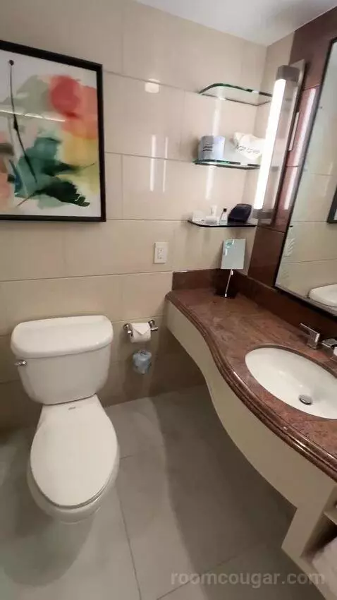 2 King, Renovated, City View (#1507) bathroom picture #4