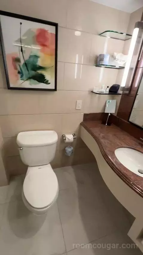 2 King, Renovated, City View (#1507) bathroom picture #5