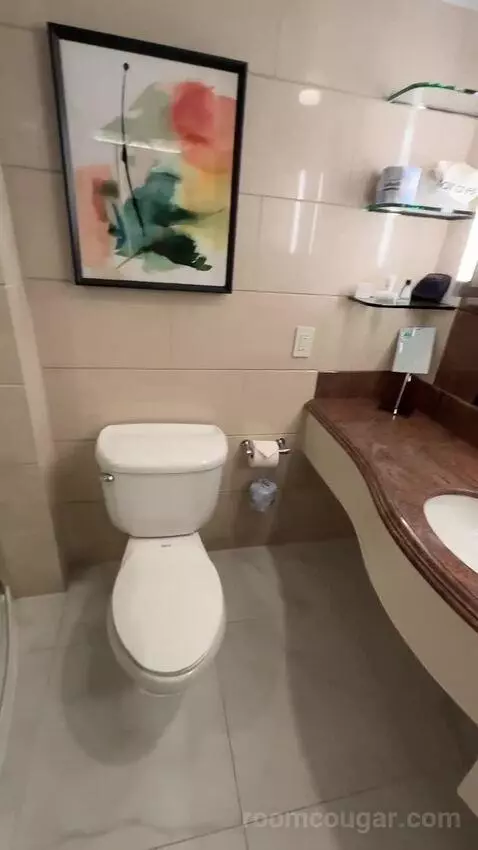 2 King, Renovated, City View (#1507) bathroom picture #6