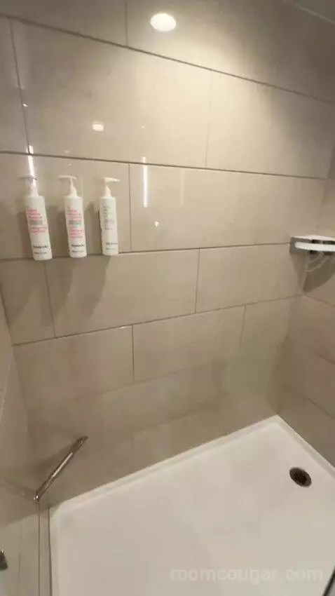 2 King, Renovated, City View (#1507) bathroom picture #8