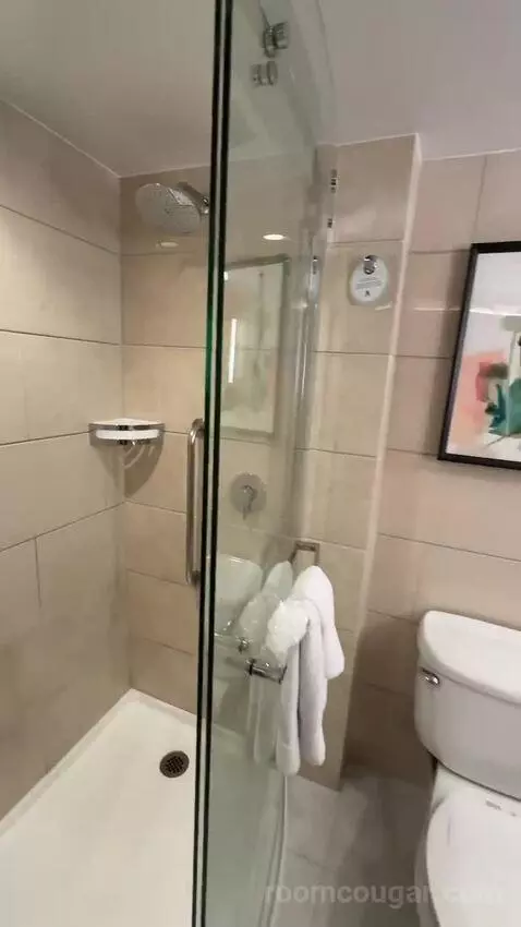 2 King, Renovated, City View (#1507) bathroom picture #11