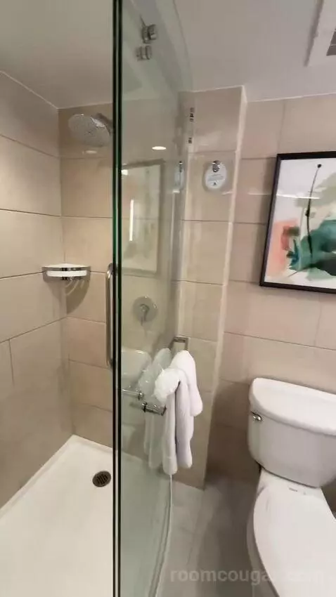 2 King, Renovated, City View (#1507) bathroom picture #12