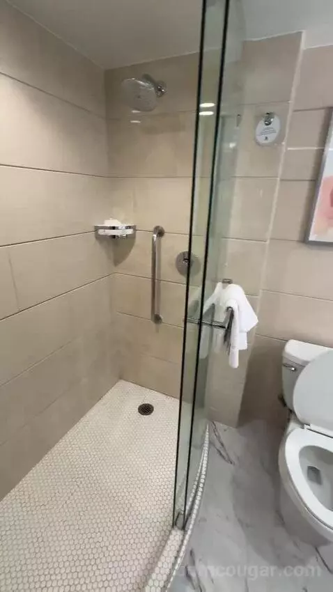 King, Water View, Renovated (#1510) bathroom picture #5