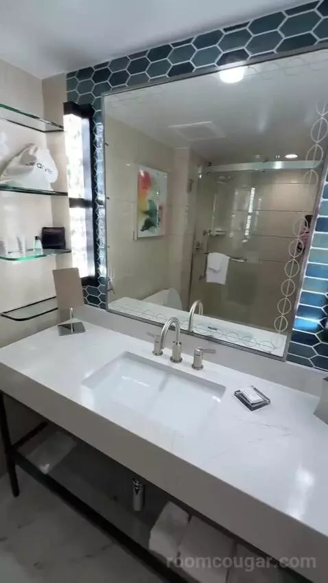 King, Water View, Renovated (#1510) bathroom picture #10