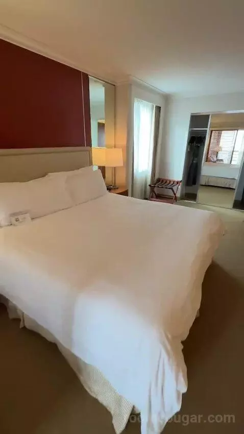 1 Bedroom Junior Suite, 1 King, Some City View, Water View, Corner Room (#1222) bed picture #8
