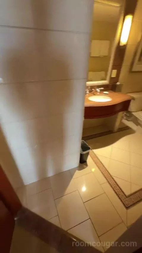 1 Bedroom Junior Suite, 1 King, Some City View, Water View, Corner Room (#1222) bathroom picture #1