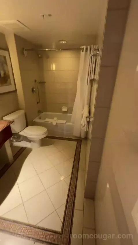 1 Bedroom Junior Suite, 1 King, Some City View, Water View, Corner Room (#1222) bathroom picture #2