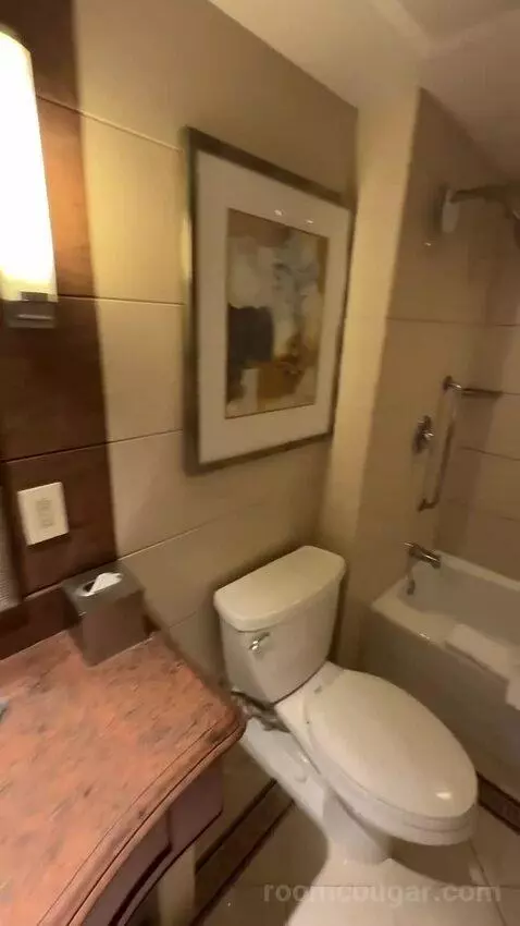 1 Bedroom Junior Suite, 1 King, Some City View, Water View, Corner Room (#1222) bathroom picture #4