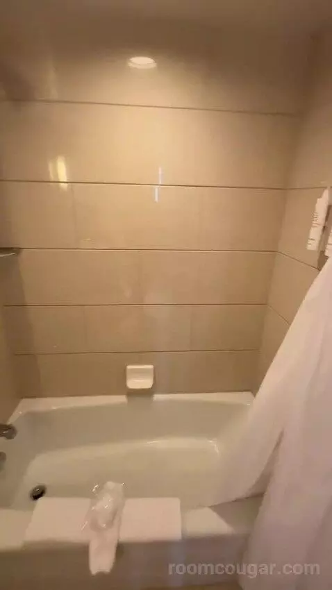 1 Bedroom Junior Suite, 1 King, Some City View, Water View, Corner Room (#1222) bathroom picture #5