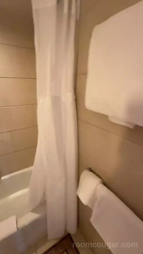 1 Bedroom Junior Suite, 1 King, Some City View, Water View, Corner Room (#1222) bathroom picture #6