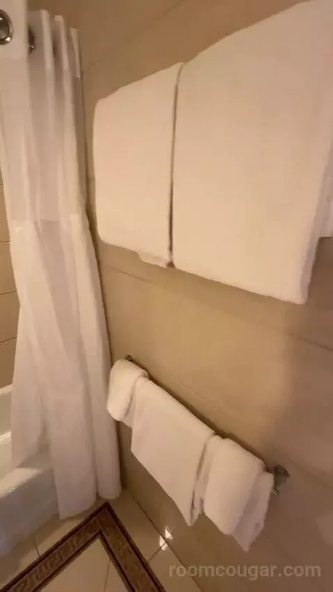 1 Bedroom Junior Suite, 1 King, Some City View, Water View, Corner Room (#1222) bathroom picture #7
