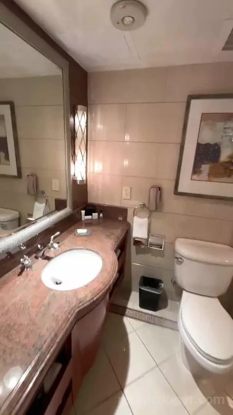 Ballpark Suite (#2103) bathroom picture #10