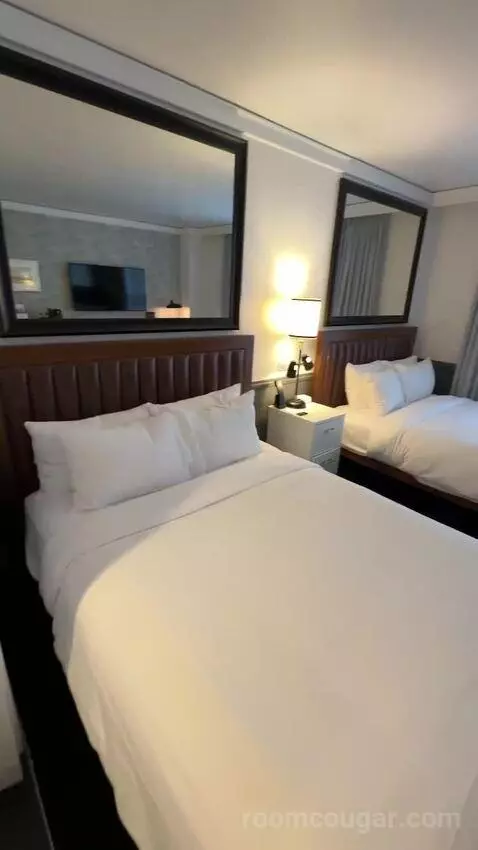 City Queen Queen (#502) bed picture #3