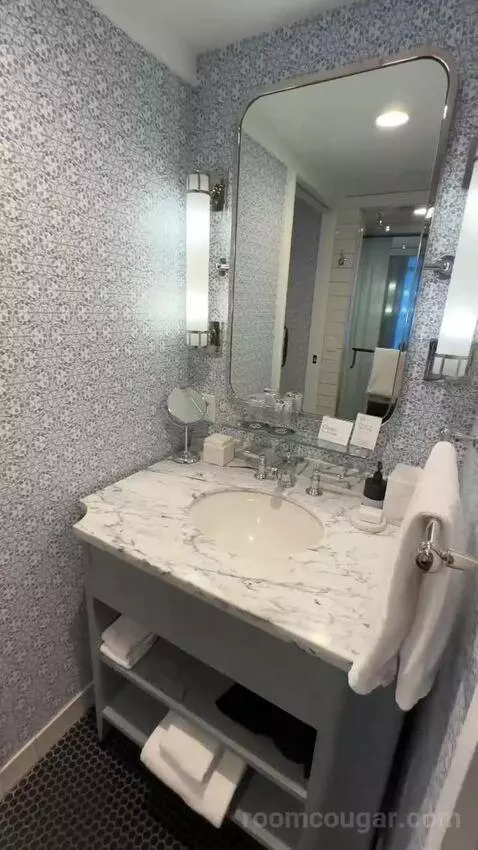 Skyline King Room (#1128) bathroom picture #5