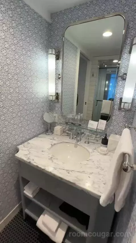 Skyline King Room (#1128) bathroom picture #6