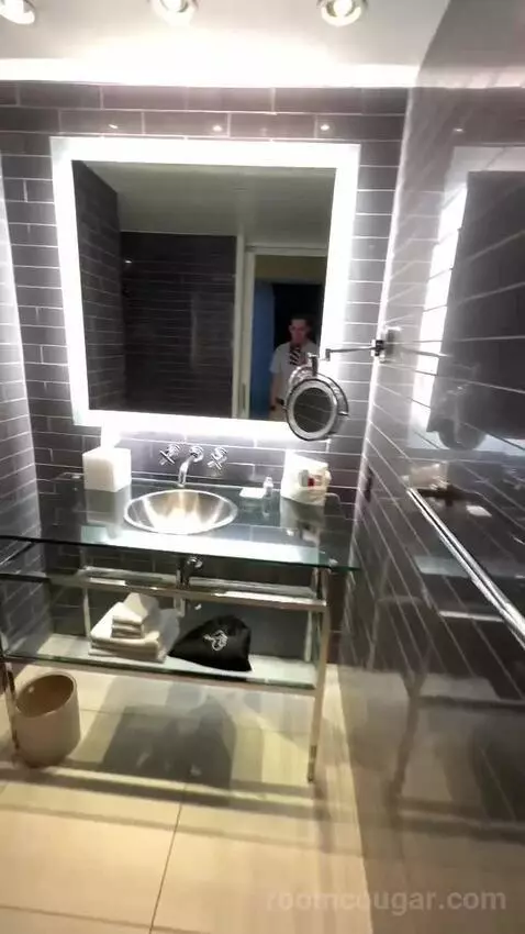 Andaz Suite (#529) bathroom picture #3
